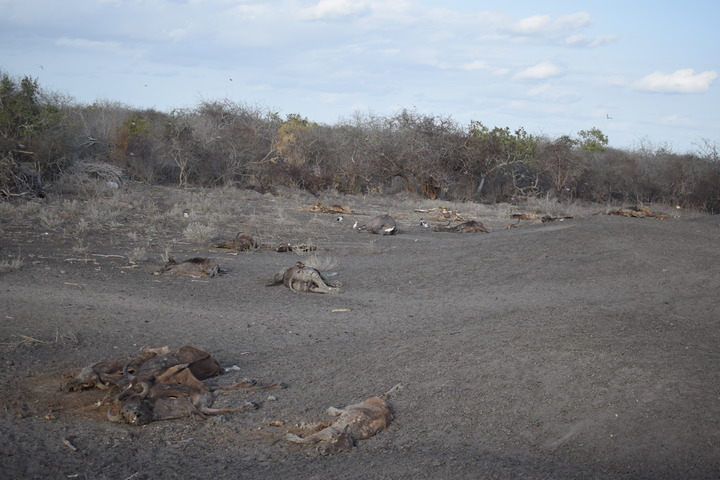 Thousands displaced in Kenya’s arid areas due to heavy rains