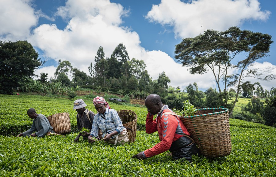 Kenya projects exports to rise 15 pct in 2023