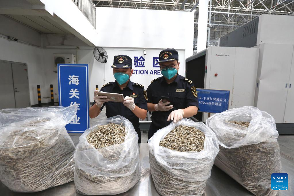 China imports wild anchovy products from Kenya