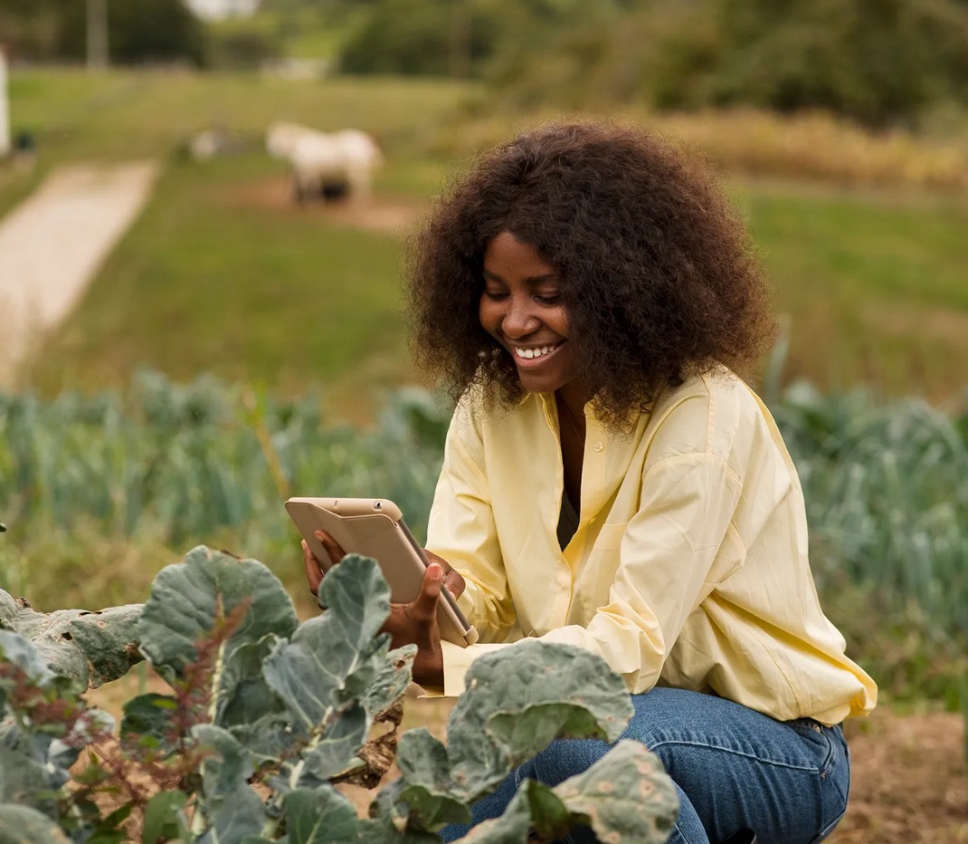 Innovation challenge targets youth with novel ideas on food systems