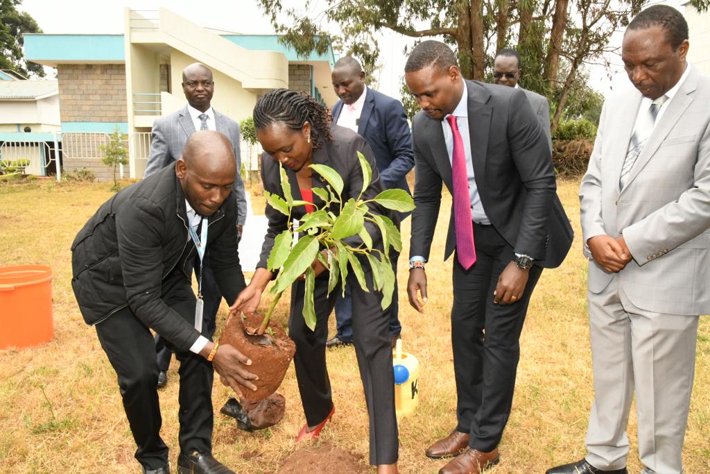 Govt to streamline charcoal trade, Environment CS Tuya says