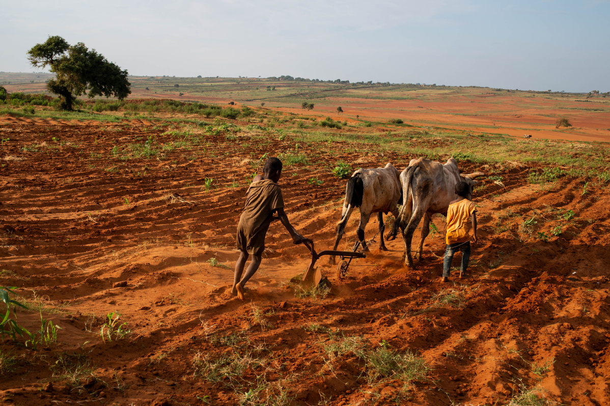 Climate efforts enable Africa to transform into global green hub