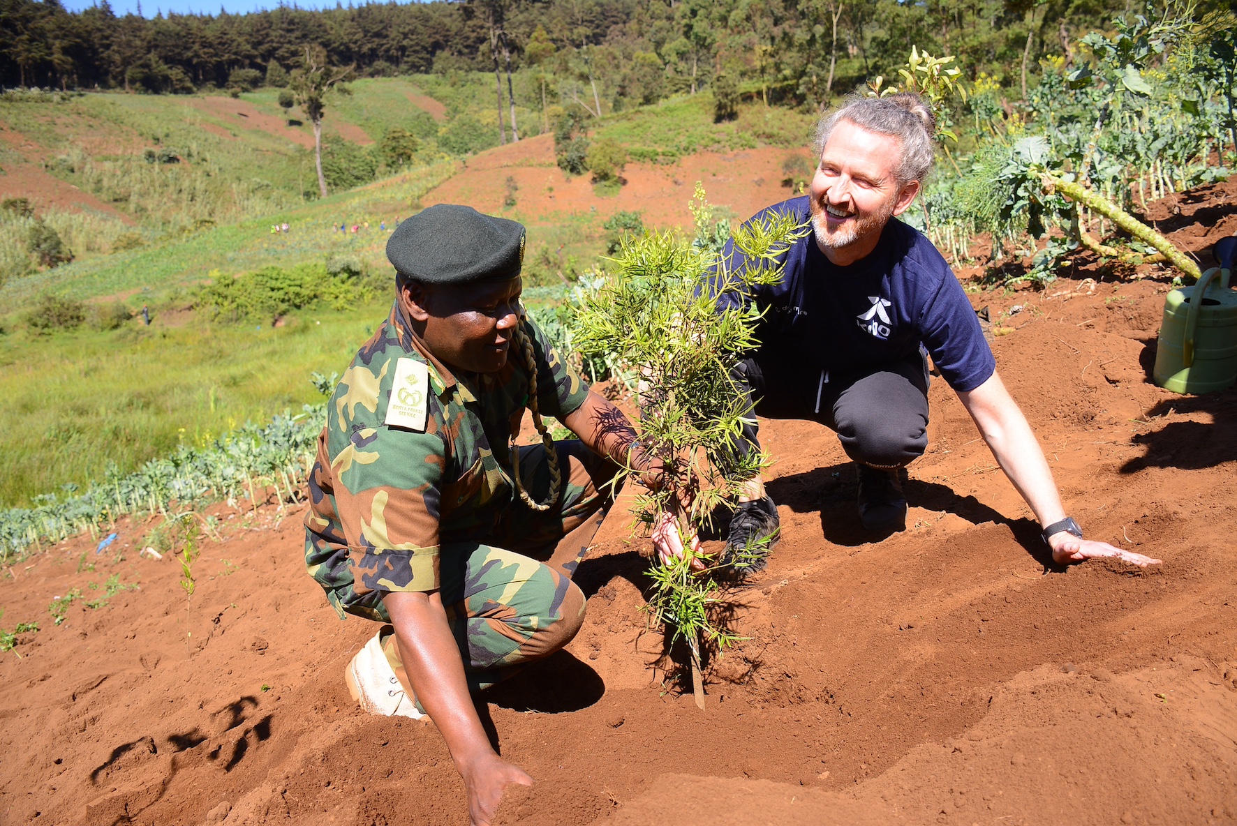 Kibo to plant 100,000 trees in the next 3 years