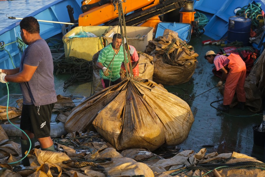 Malta hails bluefin tuna agreement with China