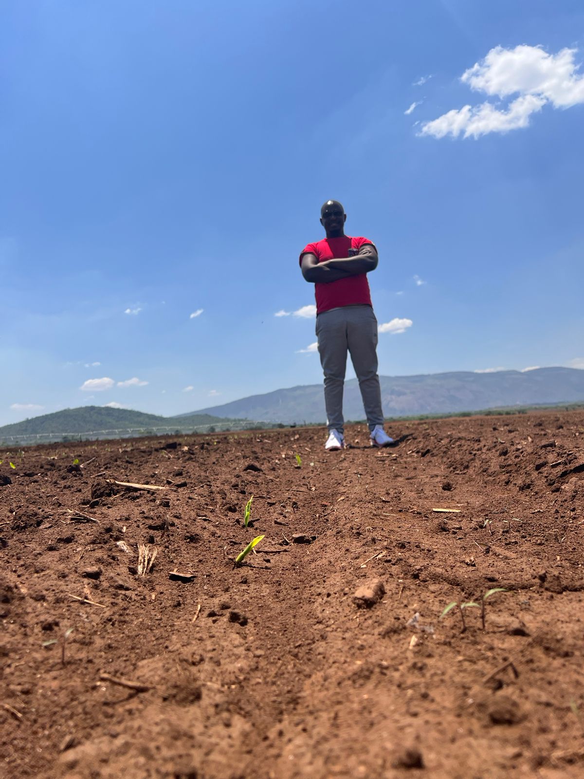 Media and Influencers can unlock Food Insecurity in Africa