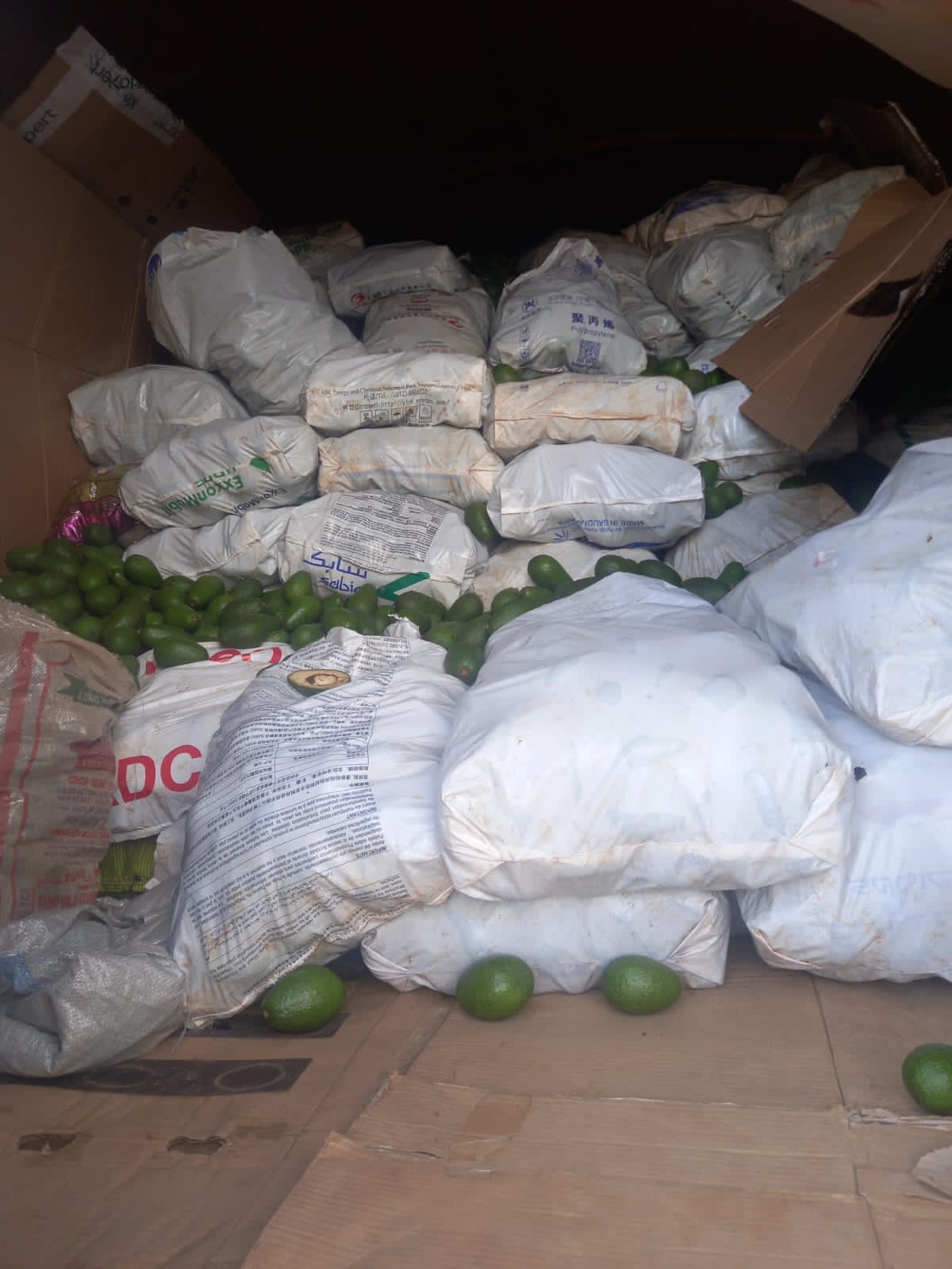AFA impounds 4 trucks smuggling Kenyan avocados to Tanzania