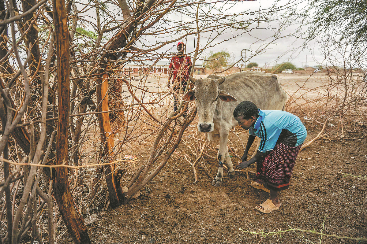 Limited funds hinder minority, marginalized group welfare