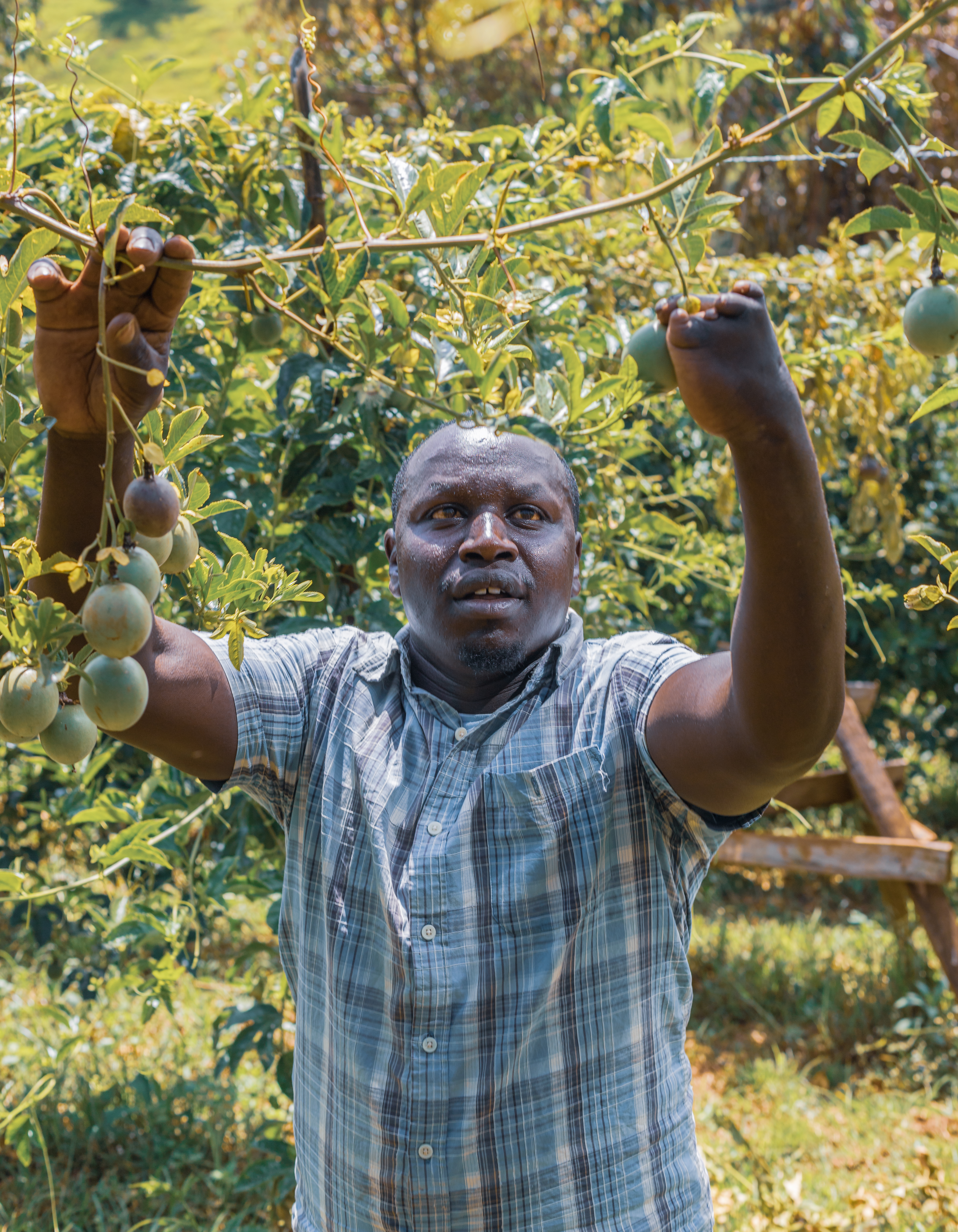 KEBS pledges to uphold agricultural product standards amid safety concerns