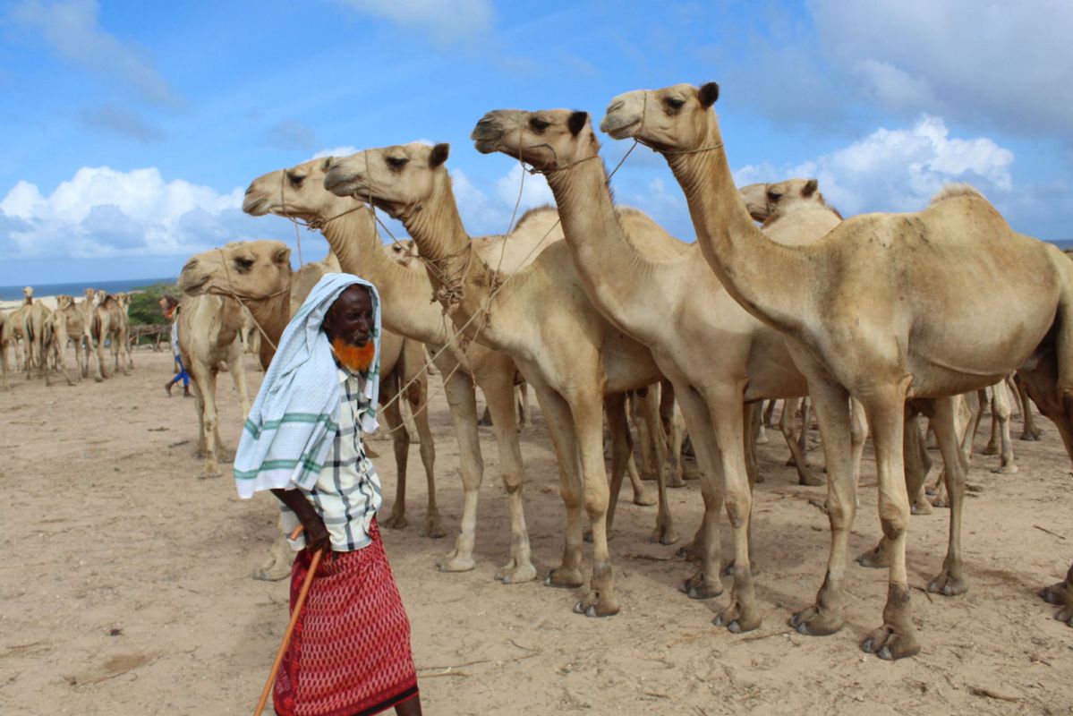 Private sector holds key to climate finance