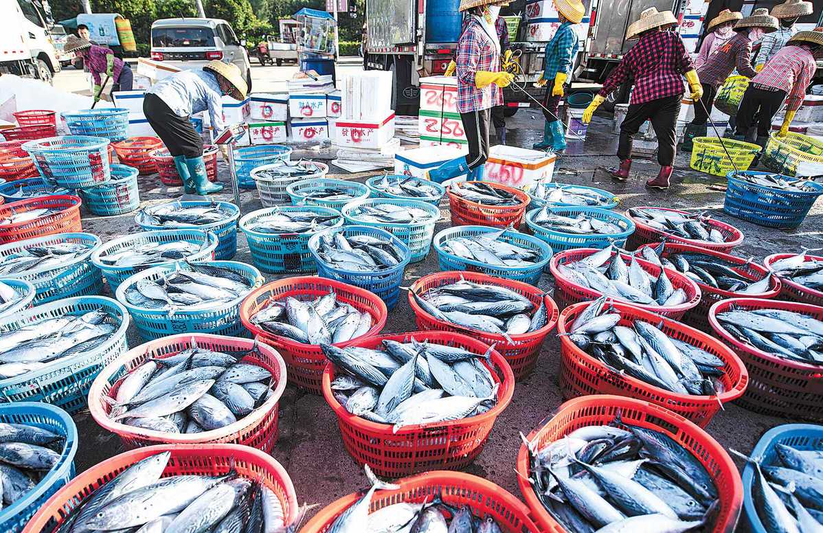 Vietnam’s agro-forestry-fishery export forecast to reach up to 55 bln USD in 2024