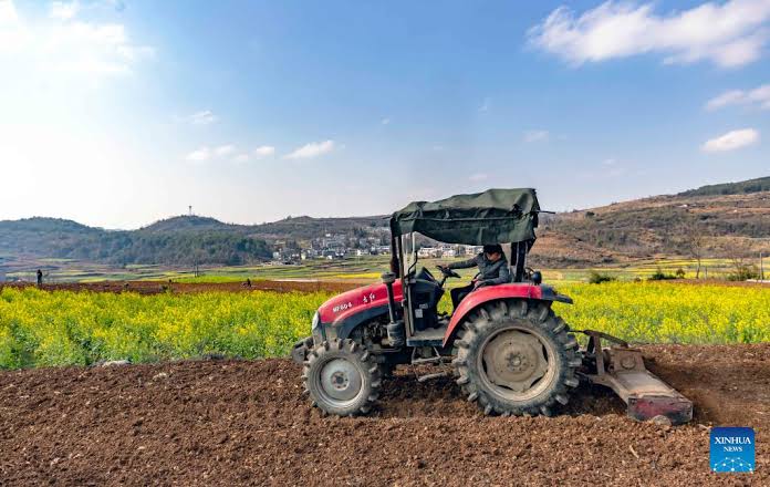 AfDB unveils credit guarantee scheme to boost fertilizer uptake in Kenya