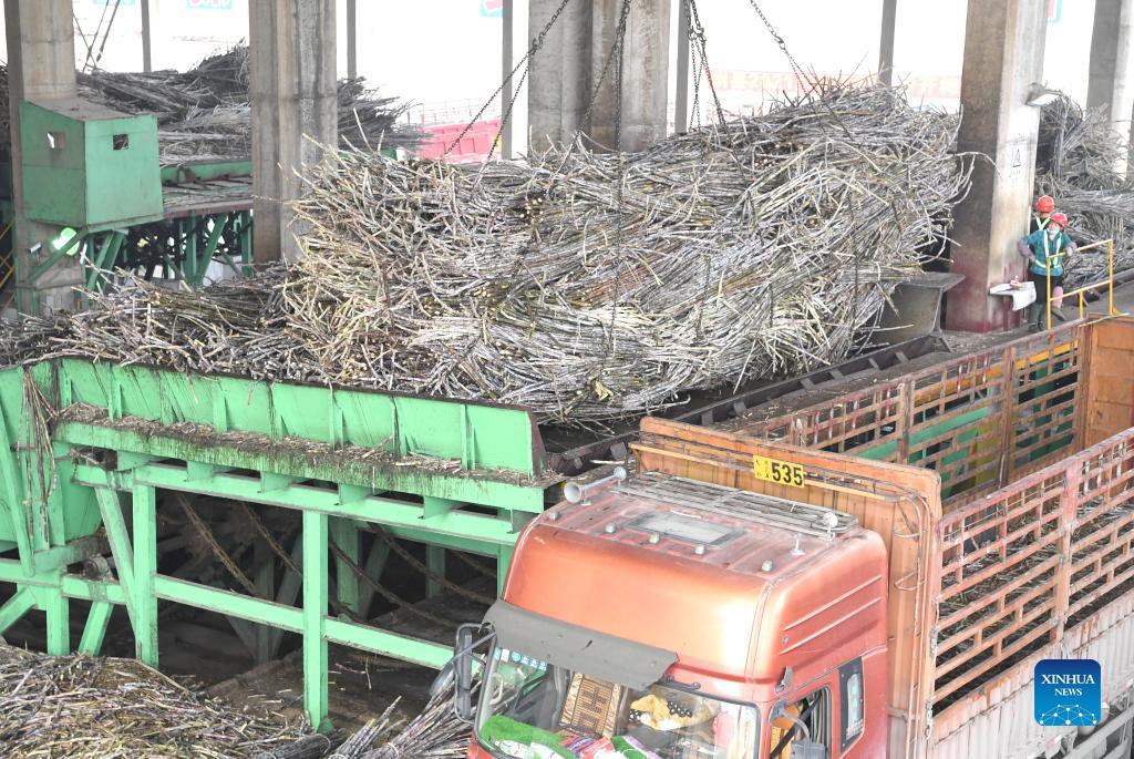 11 killed in sugar factory explosion in Tanzania