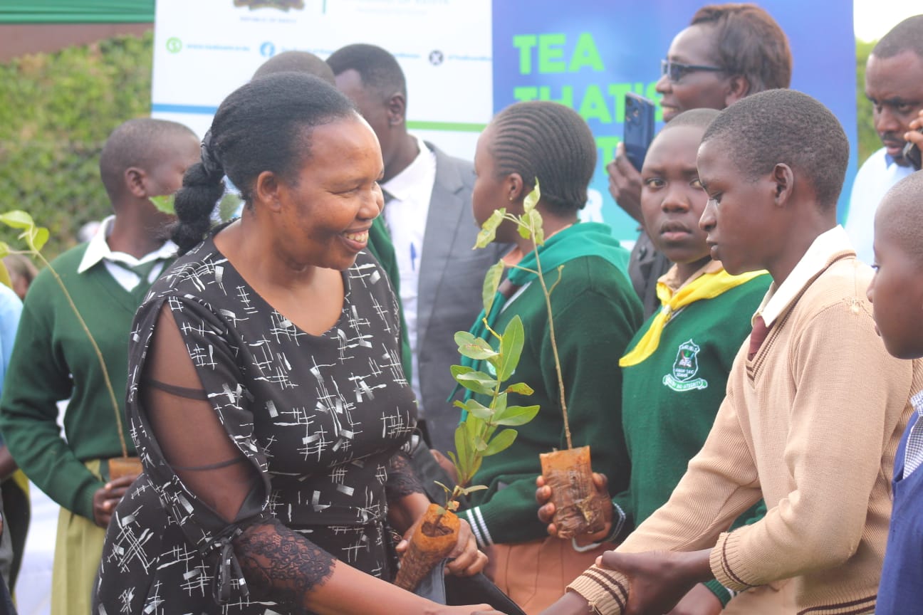 EPK commits Sh260mn for tea quality production, climate action