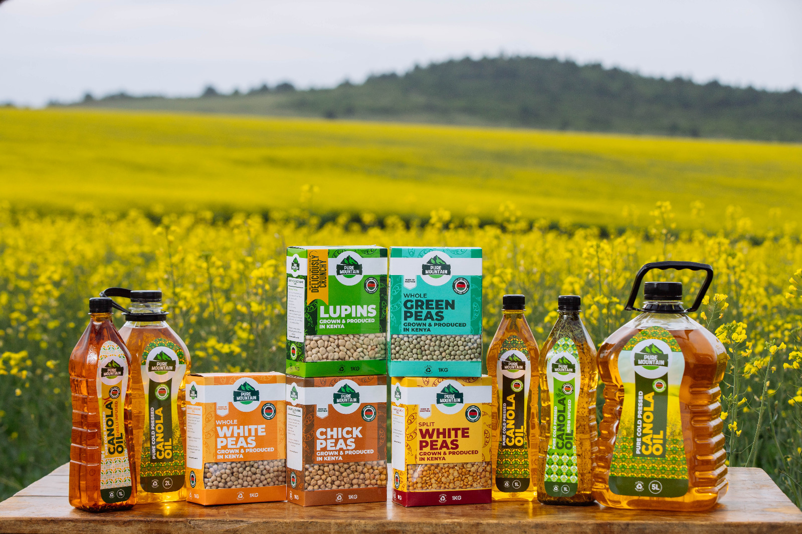 Canola farming pioneers drive sustainable farming