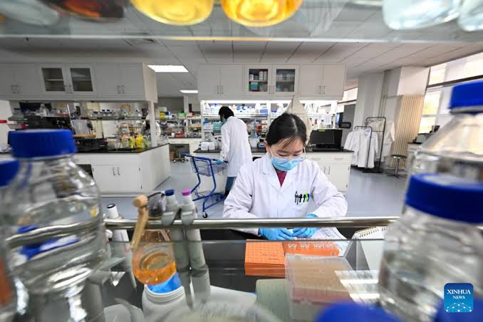 The Versatile Role of Peptides in Biotechnology