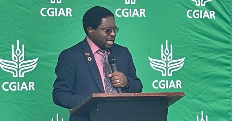 CGIAR to boost Africa’s agricultural innovation with new Nairobi hub