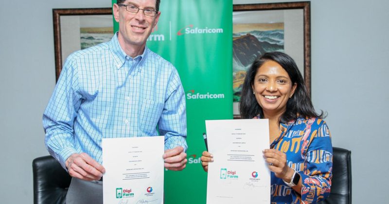 Safaricom unveils AI chatbot to empower smallholder farmers