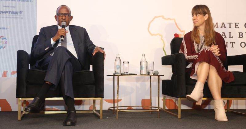 Think tank urges private sector to boost clmate financing in Africa