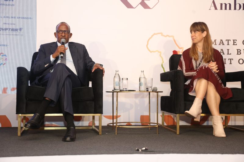 Think tank urges private sector to boost clmate financing in Africa