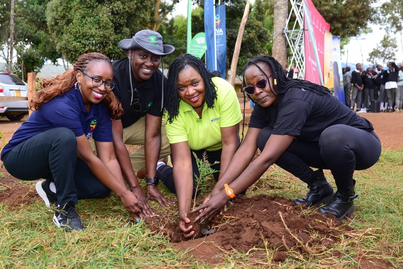 Java House, Partners to Plant 6,000 Trees in Kiambu Schools