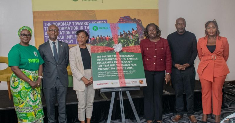 Monitoring agricultural policies’ impact on women key to Africa’s food security