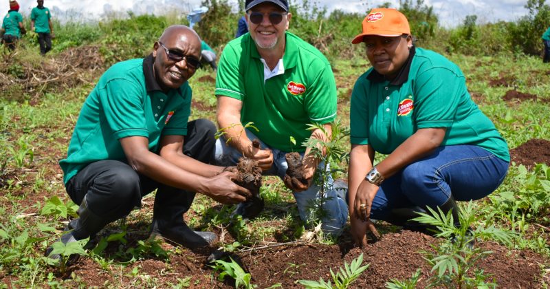 Del Monte Kenya plants 8,200 trees in Global Sustainability Drive