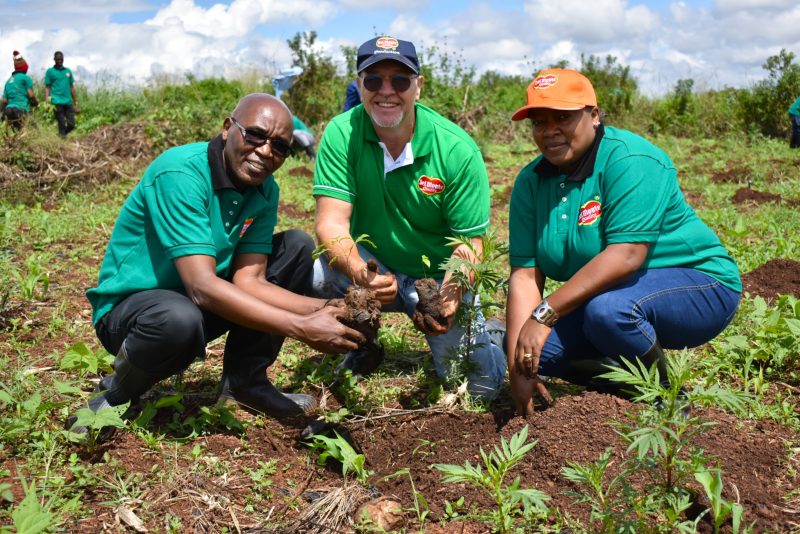 Del Monte Kenya plants 8,200 trees in Global Sustainability Drive