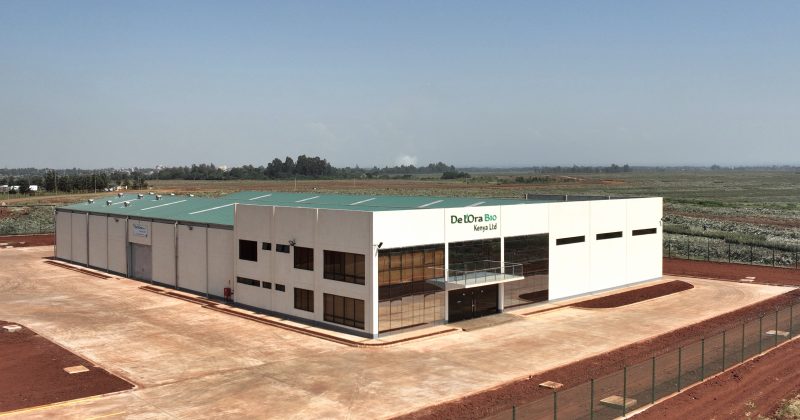 Del Monte bets on sustainable water use to boost productivity