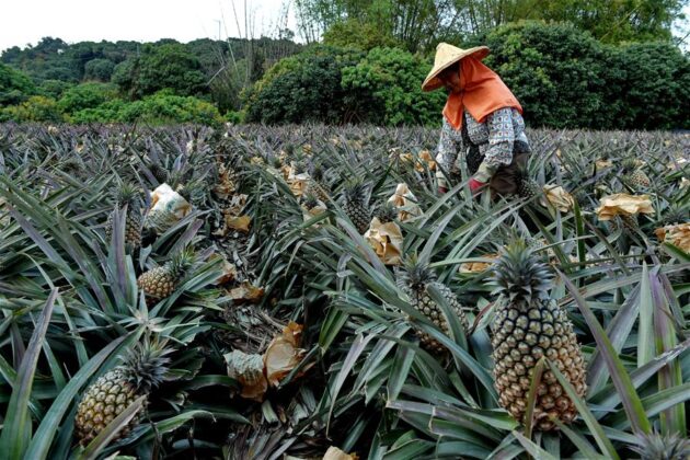 Thika business leader urges support for local industries