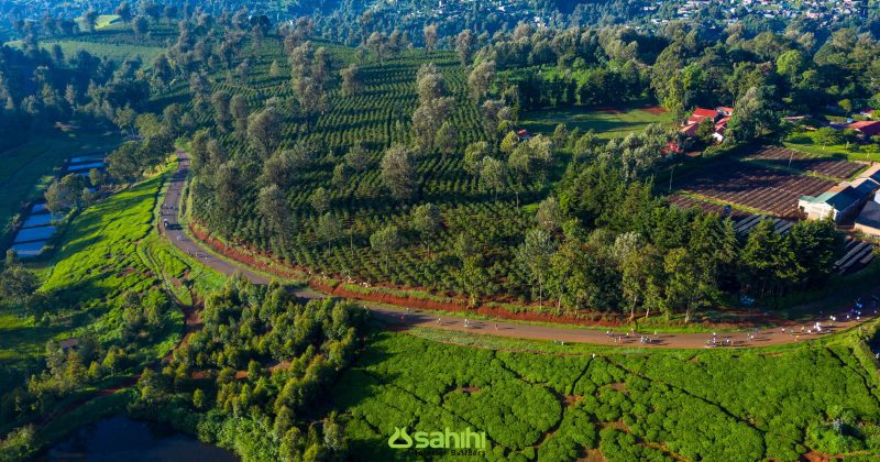 Sahihi Swara Green Race Set for May 25 in Kiambu