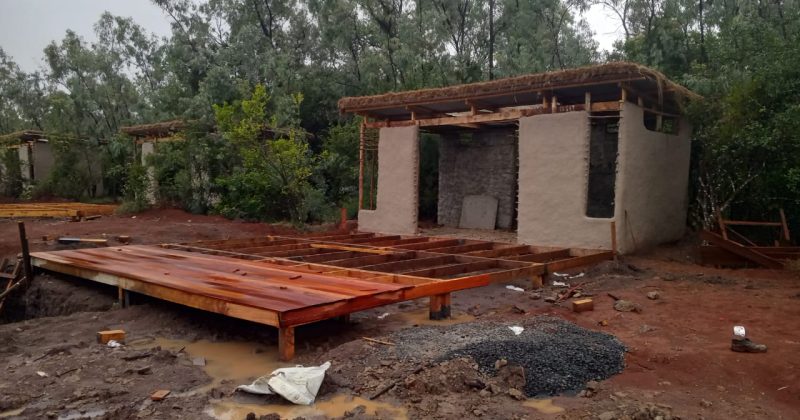 Lobby seeks answers from KFS on alleged Ngong Forest development