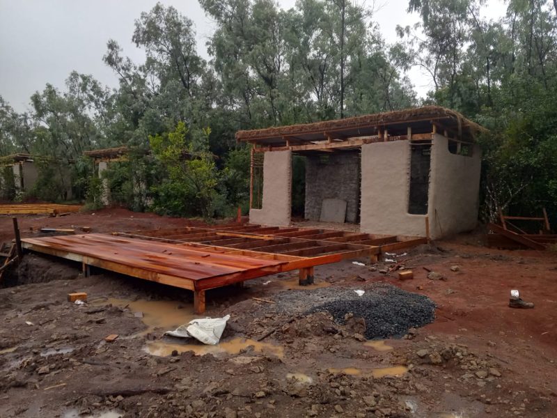 Lobby seeks answers from KFS on alleged Ngong Forest development
