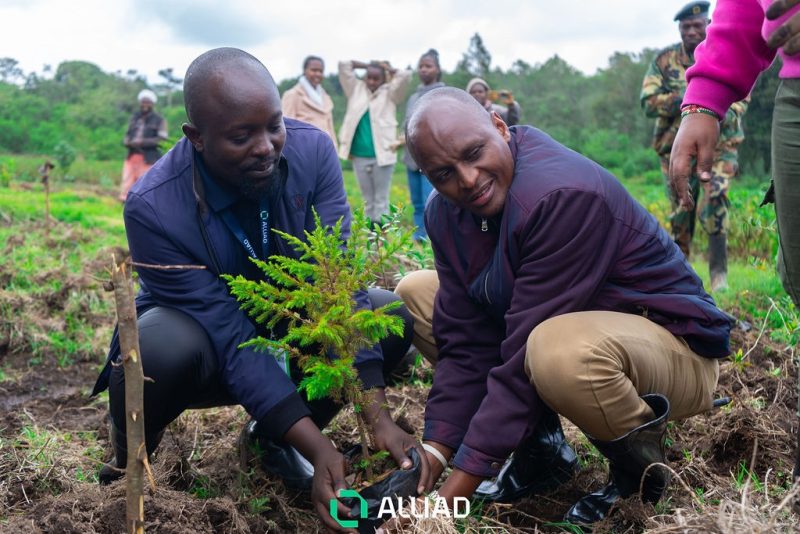 Alliad Kenya, Nature Kenya partner to boost climate resilience, conservation