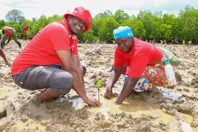 Absa Life Plants 10,000 Mangroves in Kwale, Expands Climate Action Plan