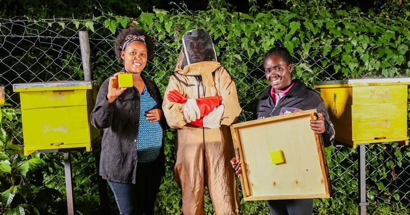 3 Kenyan Startups Selected for Qualcomm’s Make in Africa 2025 Program