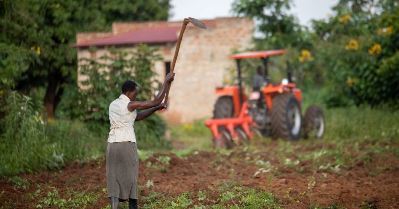 Kenya leads in smallholder farmers agri-finance