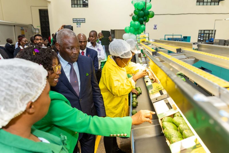 Karakuta unveils avocado packhouse to boost exports