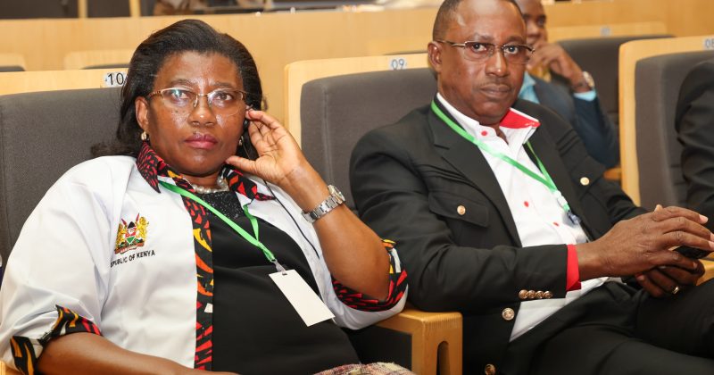 Kenya highlights public sector reform strategy at Africa Forum