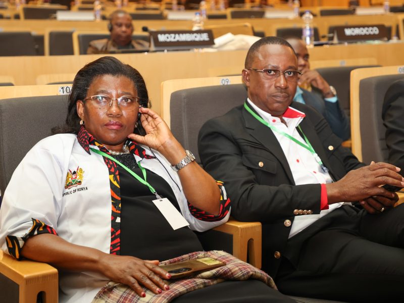 Kenya highlights public sector reform strategy at Africa Forum
