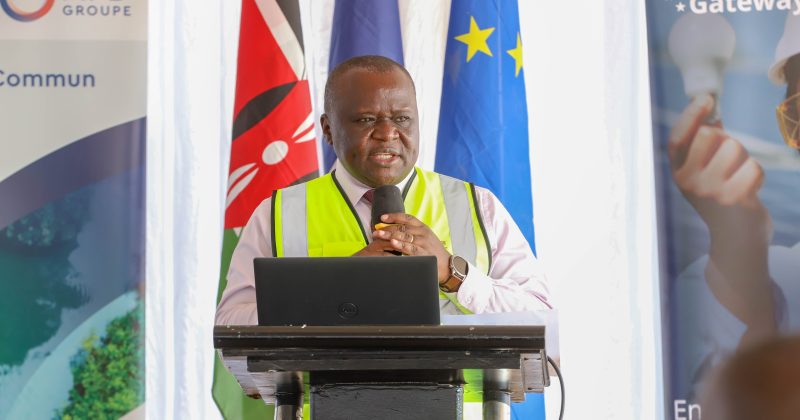 Kenya, France deepen energy cooperation with Sh12bn grid project