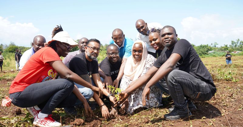 Pwani Oil Plants 3,000 Trees in Coastal Kenya to Mark Environment Day