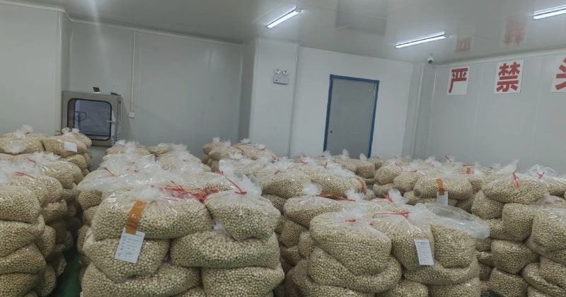 54 tons of Kenyan macadamia nuts land in Hunan
