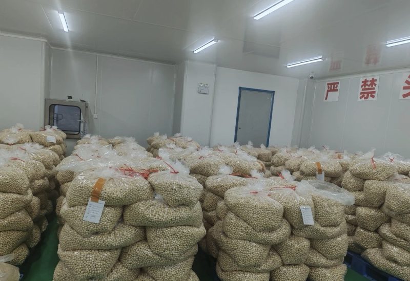 54 tons of Kenyan macadamia nuts land in Hunan