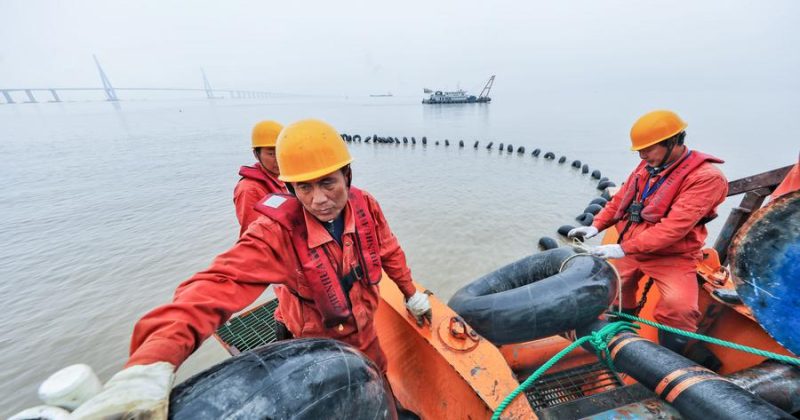 Microsoft cloud services disrupted by Red Sea cable cuts