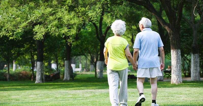 Kenya gets Sh3.2bn NIH grant for aging study