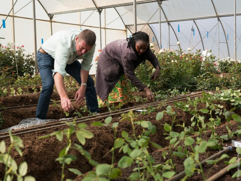How Uhuru Flowers and African Originals are cultivating a sustainable future