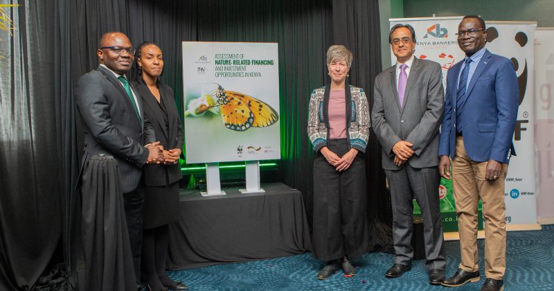 Loans to MSMEs rise 2pc to Sh153bn, beating target