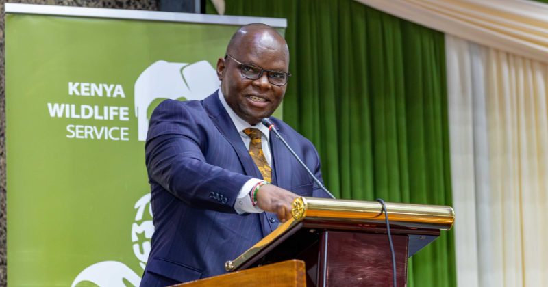KWS publishes revised draft regulation on park fees hike