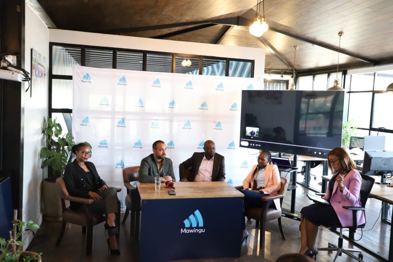 Mawingu gets Sh2.6bn to expand affordable internet in underserved areas