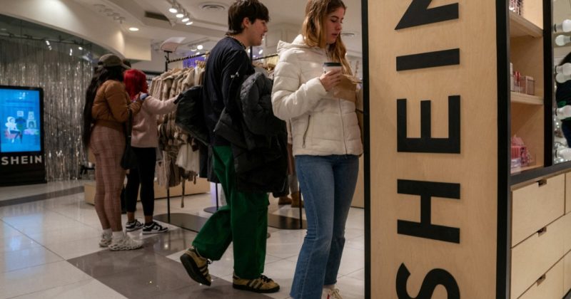 Shein accused of selling childlike sex dolls in France